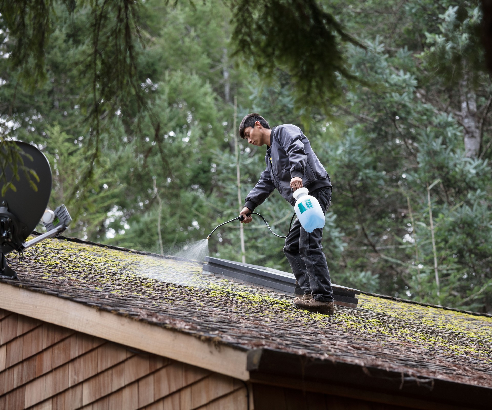 Cleaning moss from roof